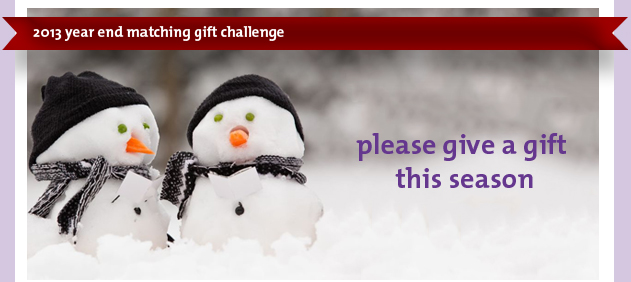 2013 matching gift challenge