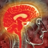 Brain_tour_image