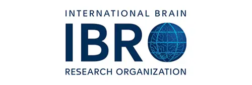 International Brain Research Organization Logo