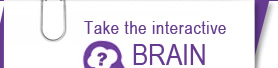 Take the Brain Tour