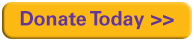 Donate Today