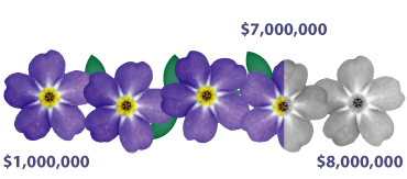 The Judy Fund Contributions