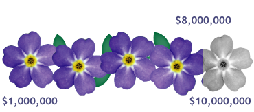 The Judy Fund Contributions