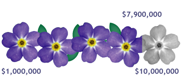 The Judy Fund Contributions