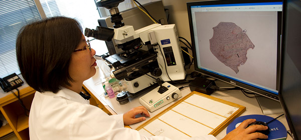 Your support of The Judy Fund helps fund innovative research on Alzheimer's disease.