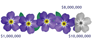 The Judy Fund Contributions