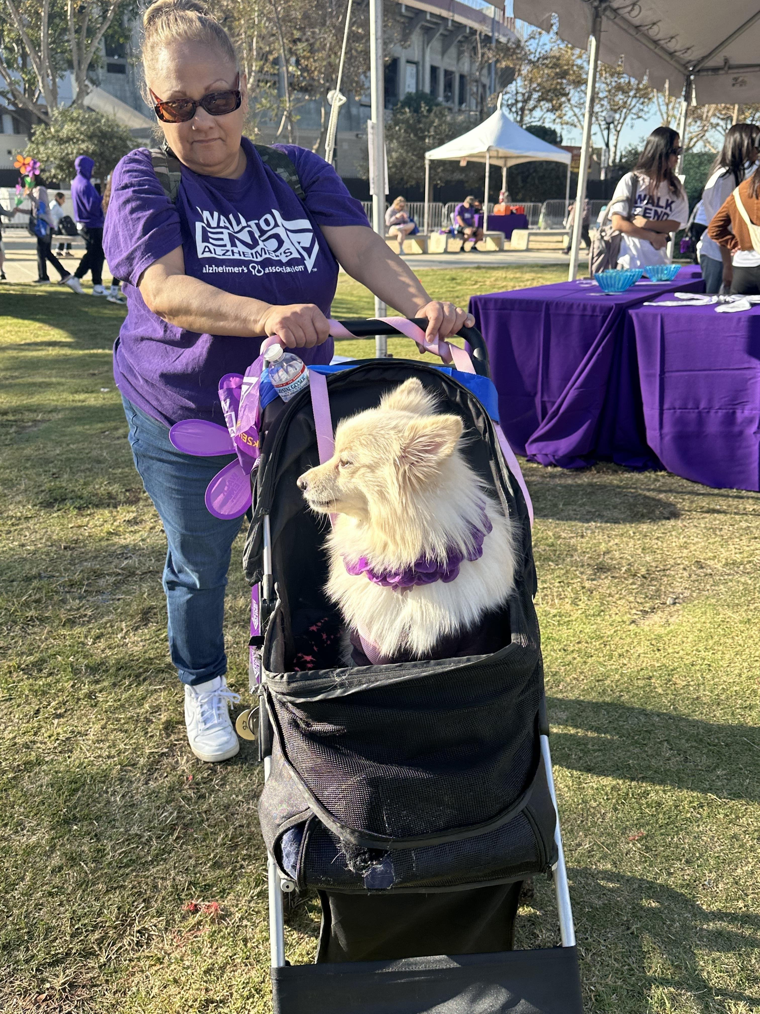 0aa8b358-433a-4376-9d7b-537bbc227f17