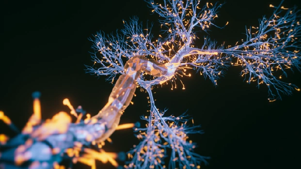 Summary: Diagnostic Evaluation, Testing, Counseling and Disclosure of Suspected Alzheimer's Disease