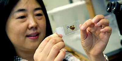 Alzheimer's researcher holds up microscope slide with sample