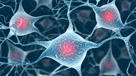 Anti-Amyloid Therapy Collection