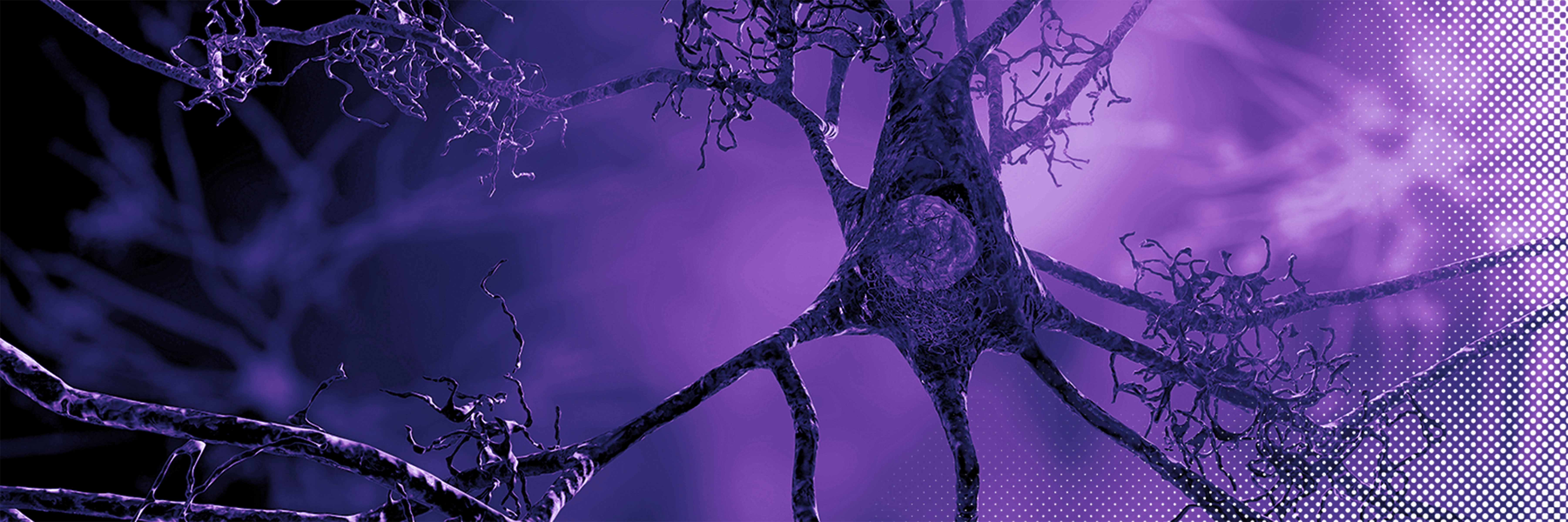 ALZPro Research, Publications and Grants
