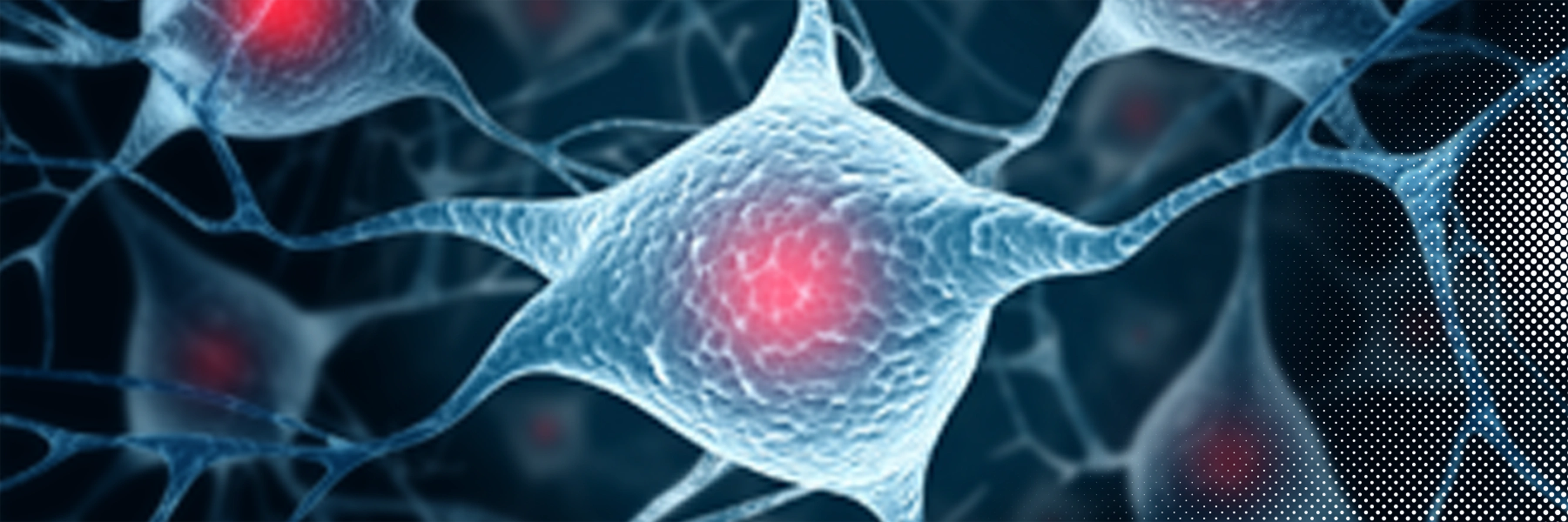 Anti-Amyloid Therapy Collection
