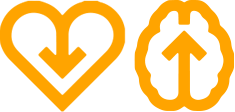 Heart and brain icon