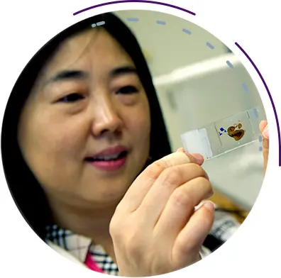 Researcher looking at microscope slide