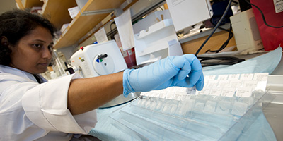 Alzheimer's research scientist working in a lab