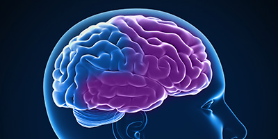 Dementia Types | Symptoms, Diagnosis, Causes, Treatments | alz.org