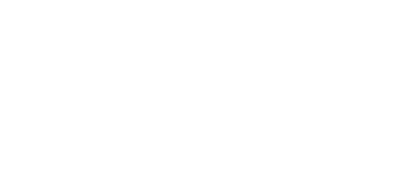 Alzheimer's Association Interdisciplinary Research Institute logo