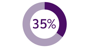 Image of a pie chart displaying 35%25