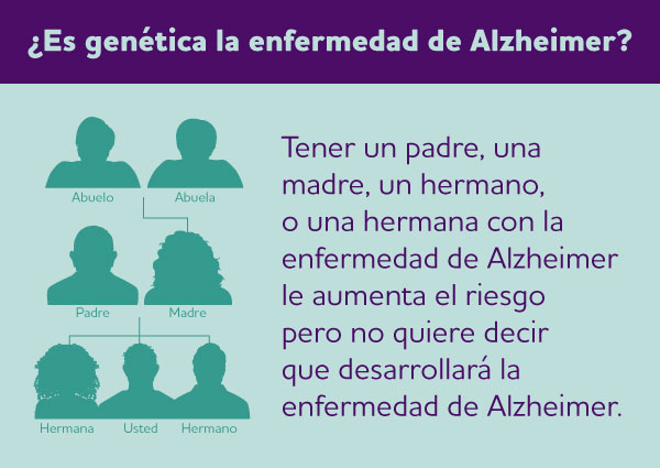 Is Alzheimer’s genetic / hereditary? Learn how genes influence whether a person develops Alzheimer’s or other dementias.