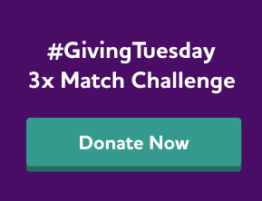 Fight Alzheimer's This #GivingTuesday. Donate Now.