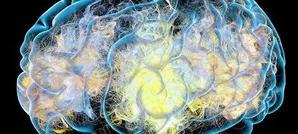 A close-up illustration of a brain, with neural pathways highlighted in various colors.